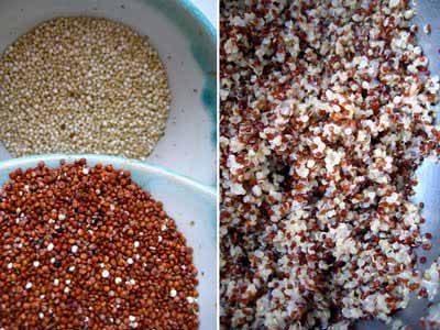 10 Delicious Reasons Why You Would Like Quinoa