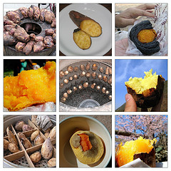 All The Goodness in Sweet Potato