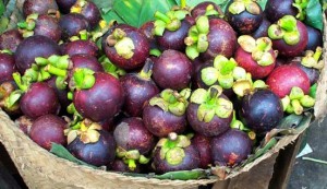 Mangosteen Fruit – Queen Of Fruits