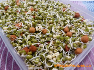 Bean sprout recipe