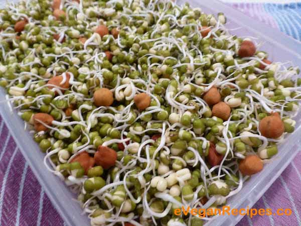 Sprouting Away To Good Health