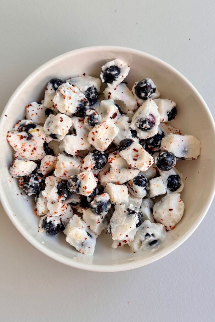 Frozen Blueberry Yogurt Bites